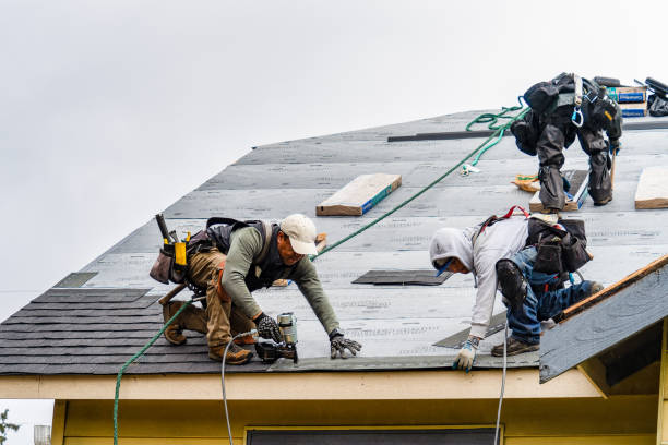 Professional Gutter Installation technician working in Delmar, IA